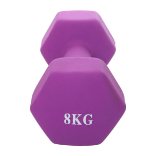 Neo Dumbbell 1 Pair Kg 8