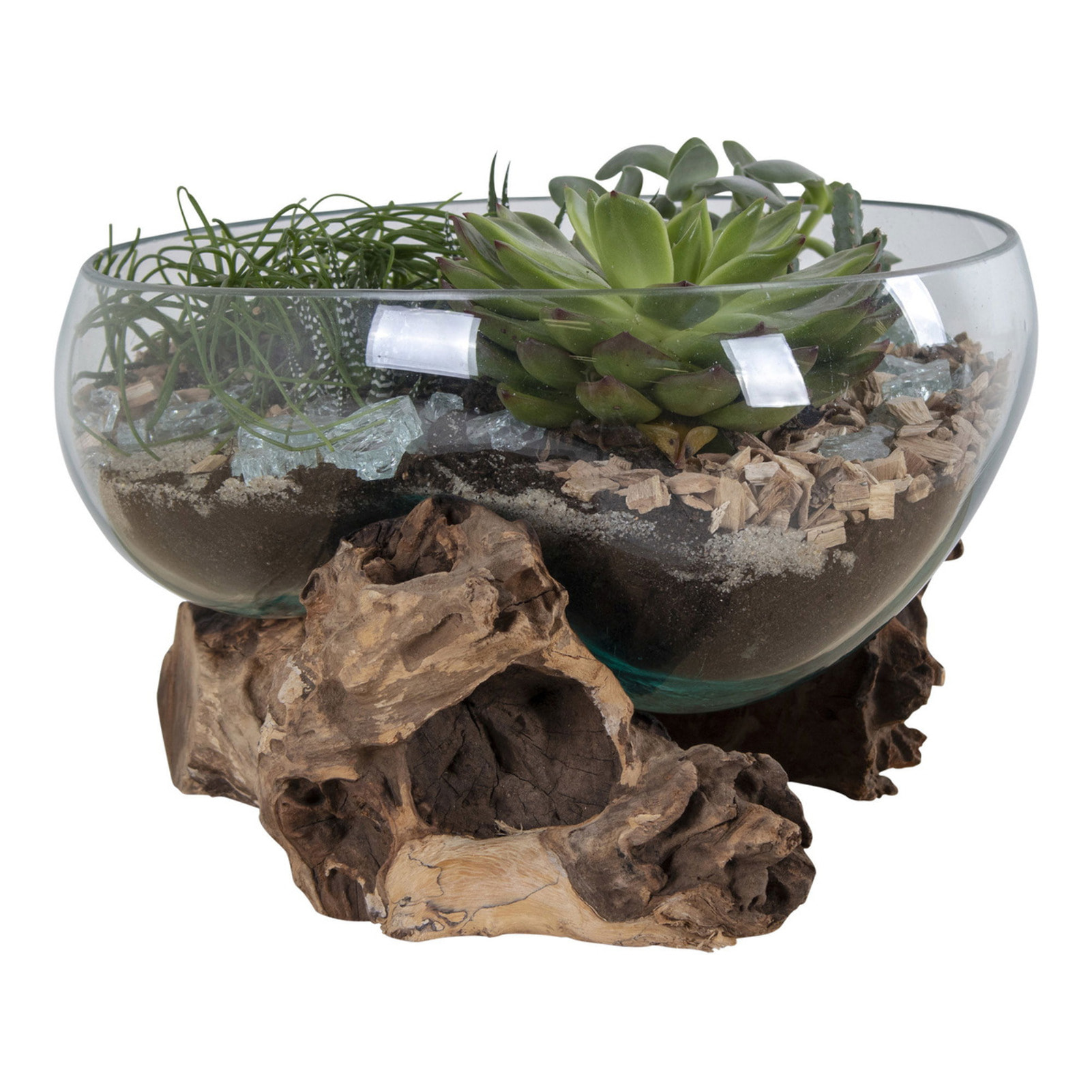 Terrario San Marino in vetro a conca ovale su grande base in radice di teak 26x26xh20 cm