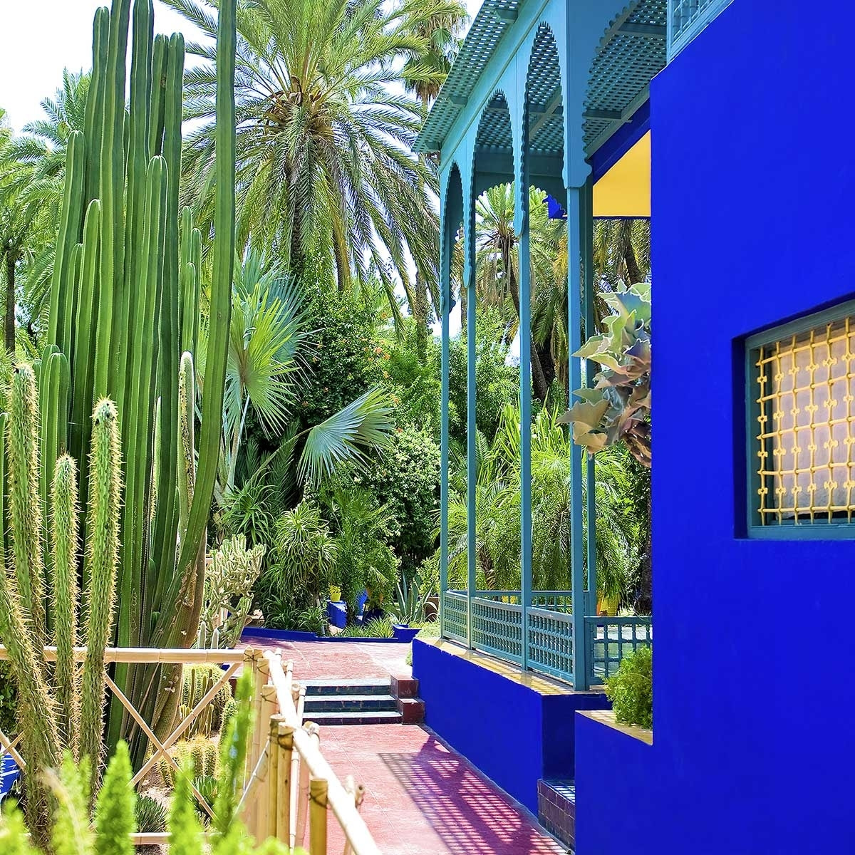 Tableau jardin majorelle Toile imprimée