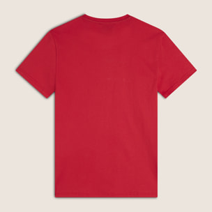 T-shirt in Cotone con Stampa frontale in tono colore