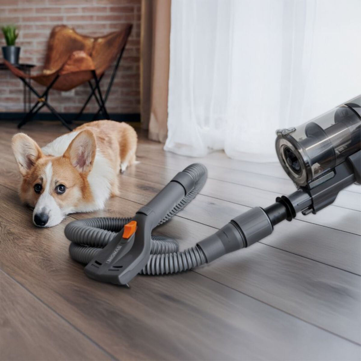 Accessoire toilettage THOMAS Toilettage douce chiens chats aspirateur