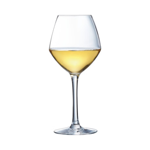 6 Verres à pied 35 cl