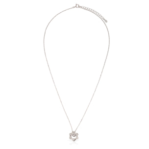 Collar de plata de ley 925 con colgante de estrella de David con circón y cierre de resorte.