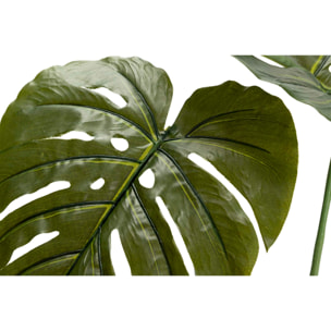 Planta Monstera 110x70x155 Cm