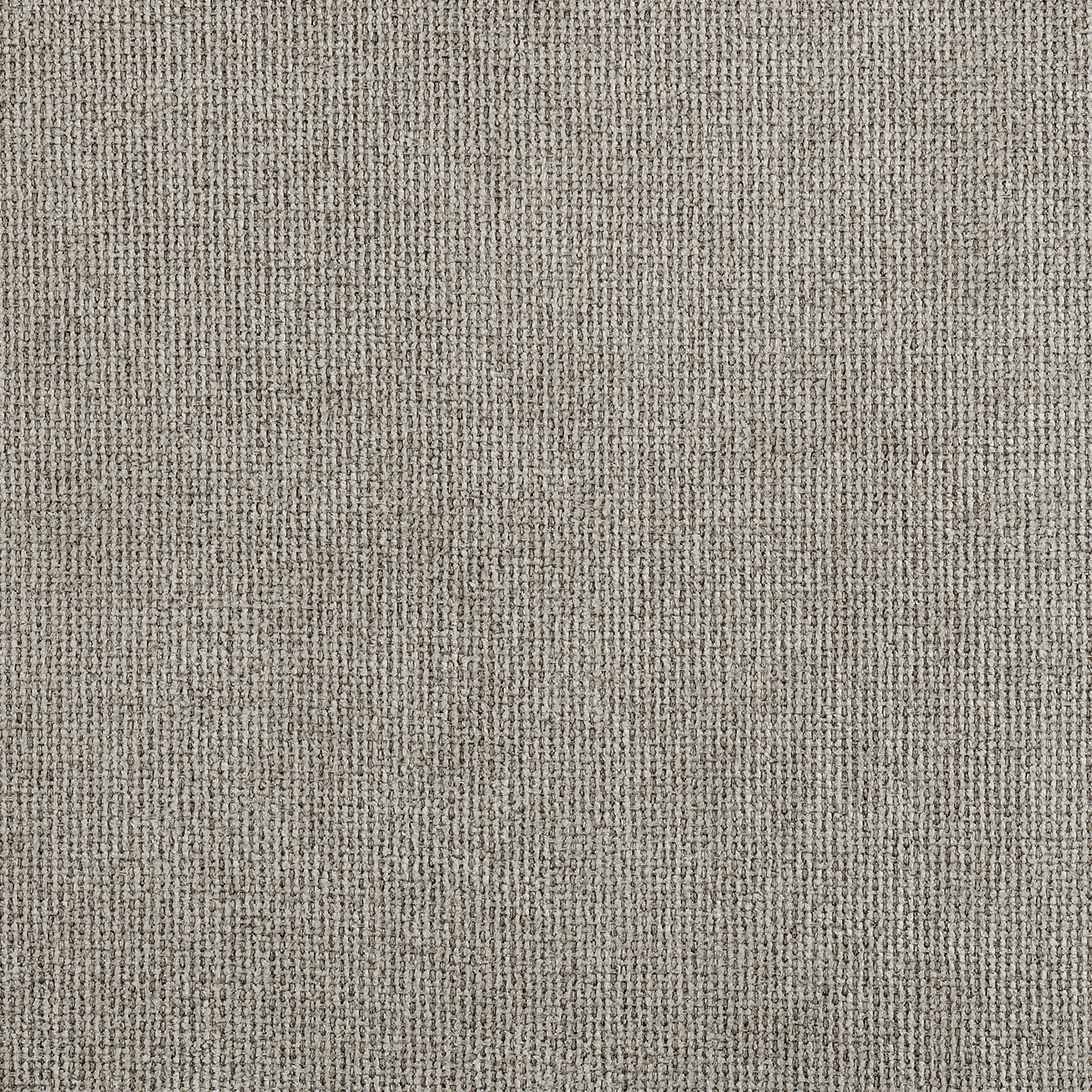 Rideau velours plat à oeillets - Gris