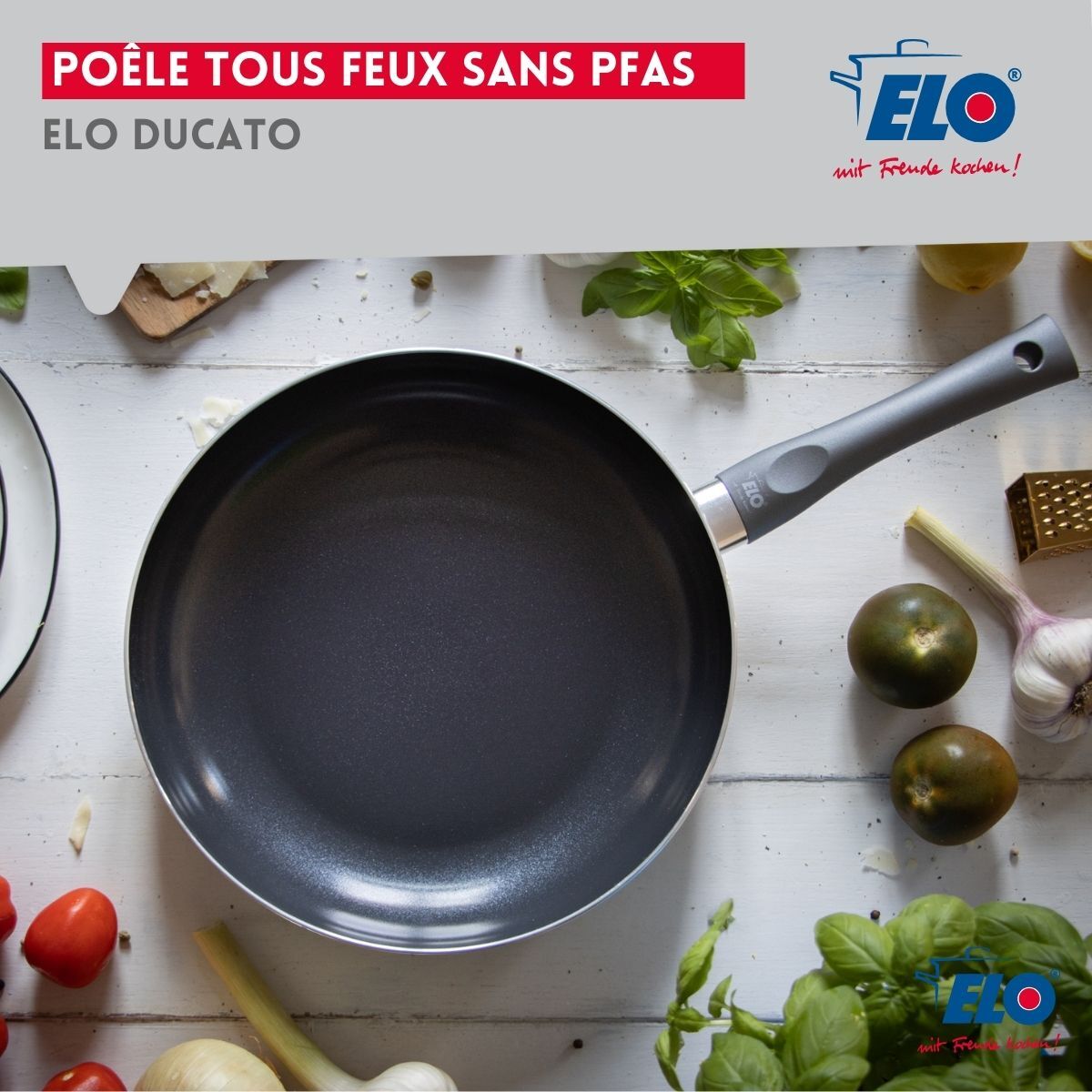 Poêle tous feux sans PFAS Elo Ducato