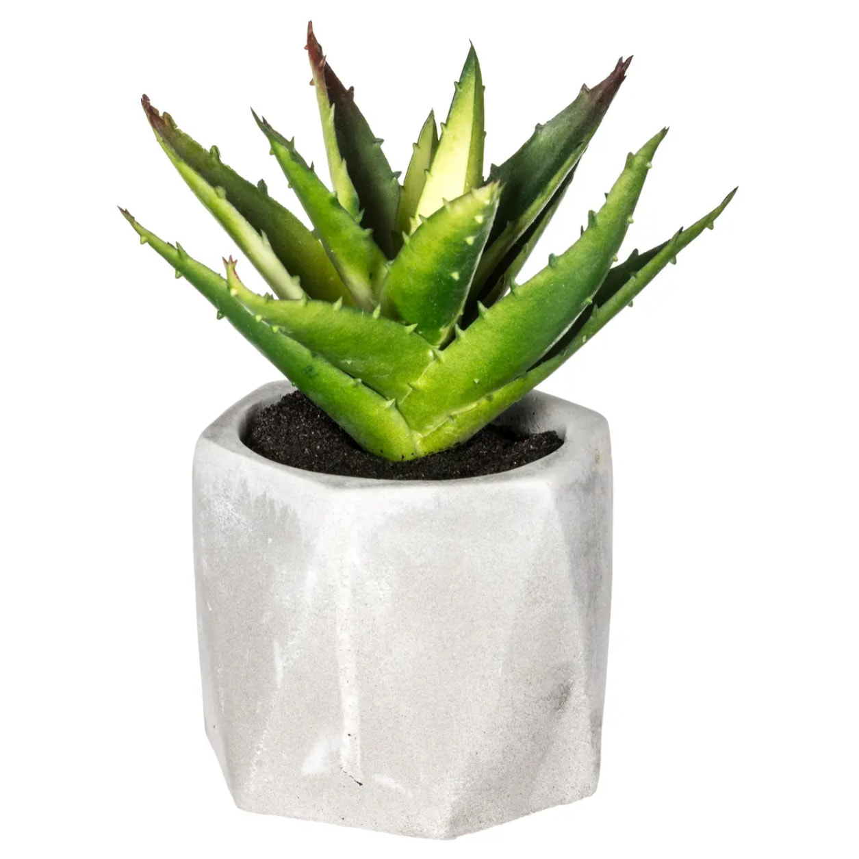 Plante grasse artificielle pot ciment H14cm