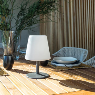 2 Lampe de table sans fil STANDY H25CM