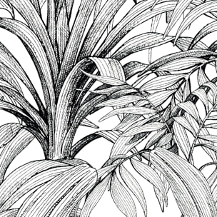 Papier peint dessin banana jungle Noir