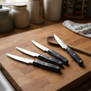 Lot de 4 couteaux à steak 22 cm Nirosta Fit