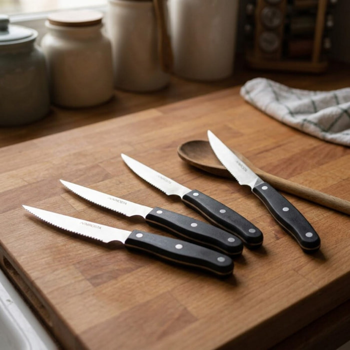 Lot de 4 couteaux à steak 22 cm Nirosta Fit