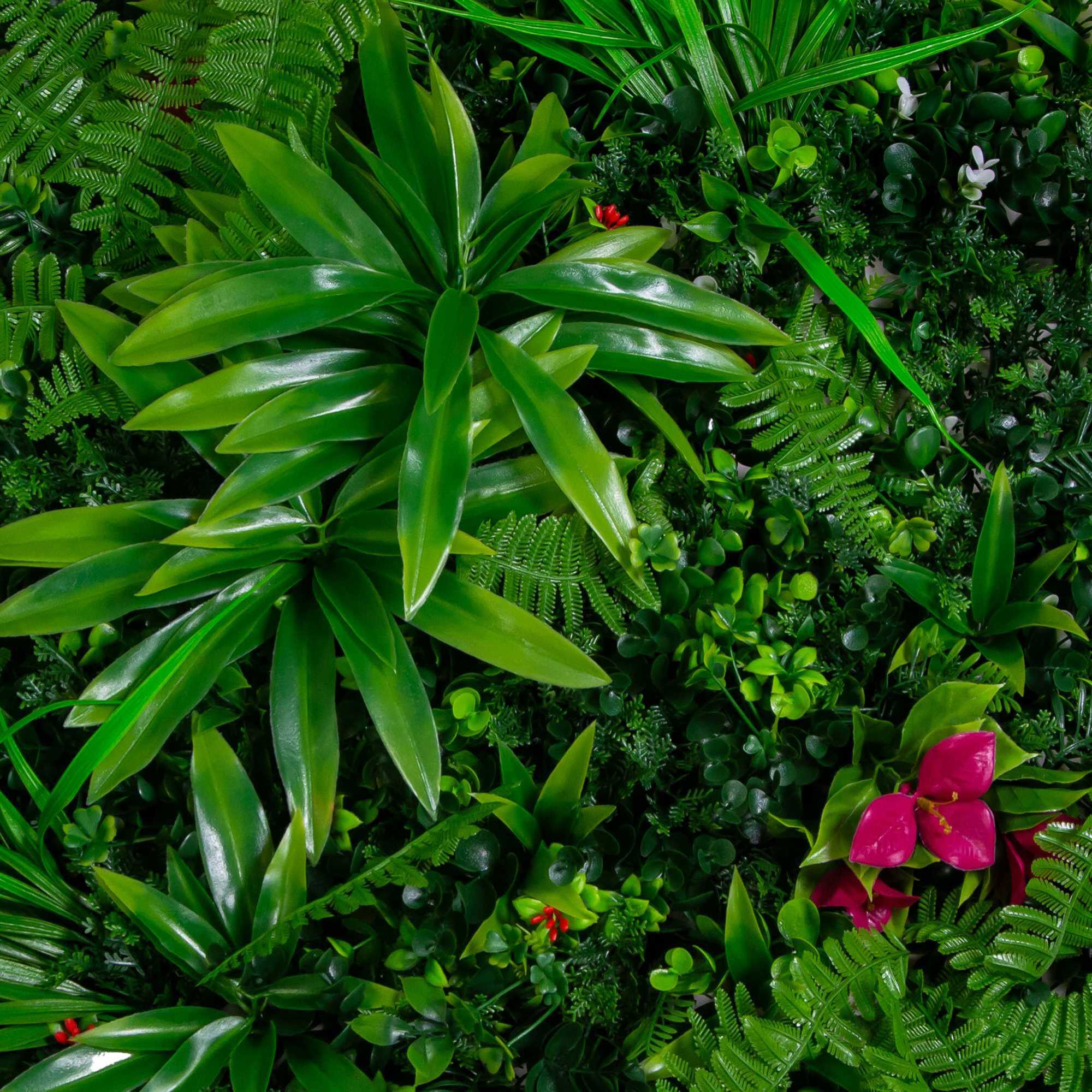 Parete verde verticale Vacchetti giungla con fiori buganville cm50x50