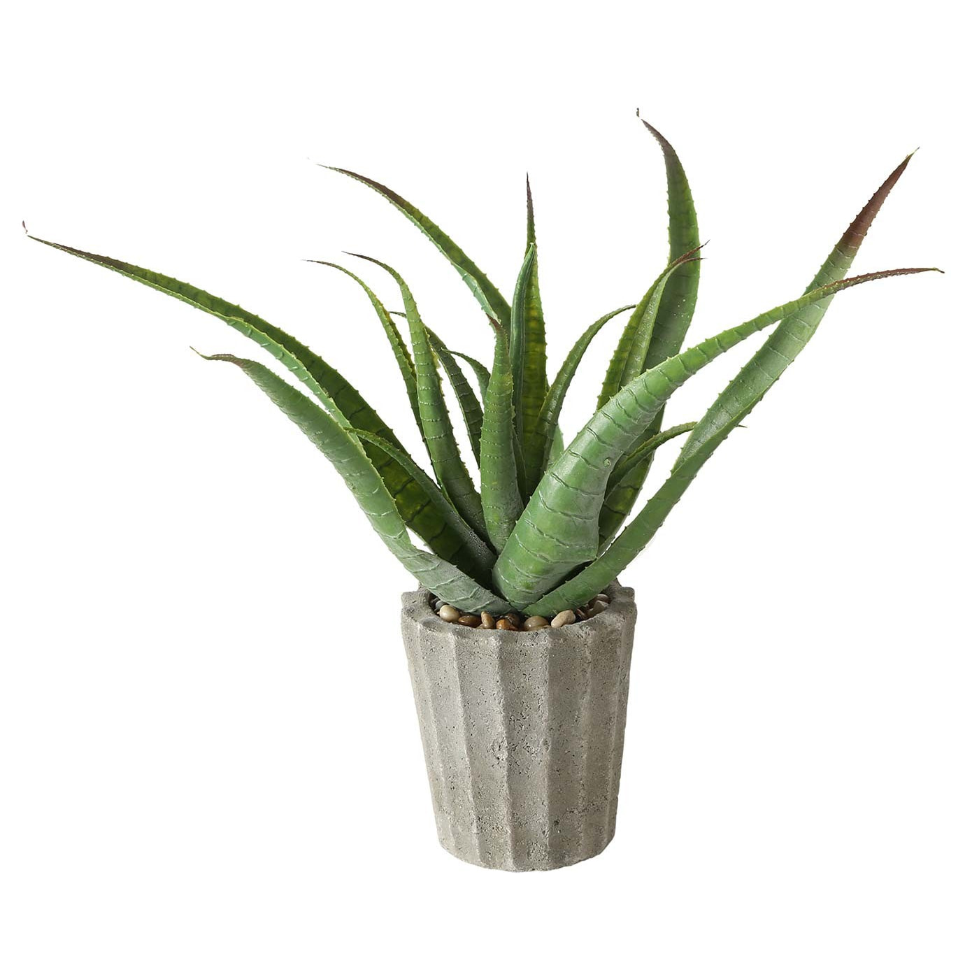 Planta marina 50cm