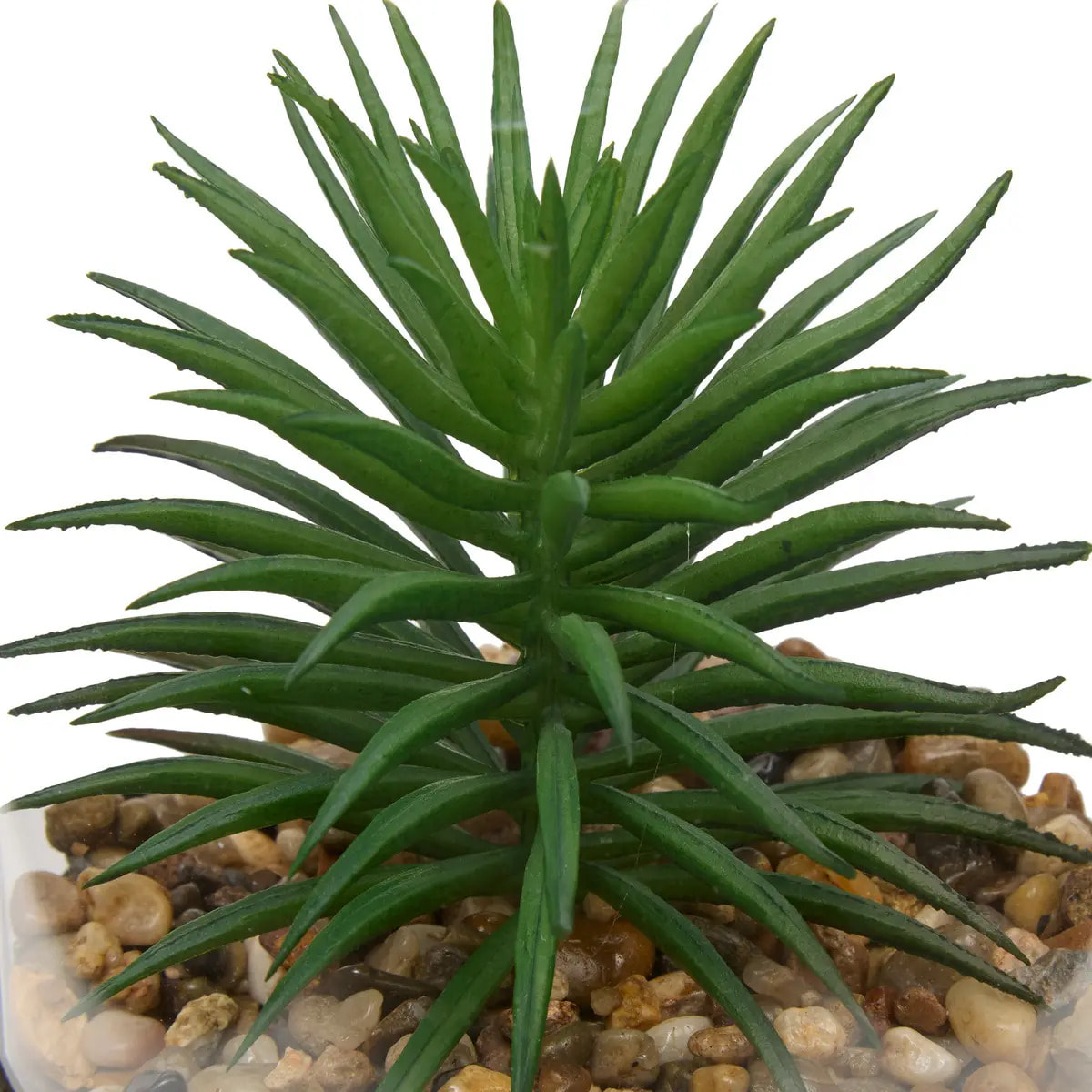 Terrarium Wilo 11x10cm