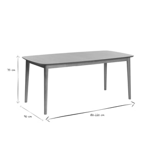 Table extensible rallonges intégrées rectangulaire en bois clair chêne L180-220 cm EGO