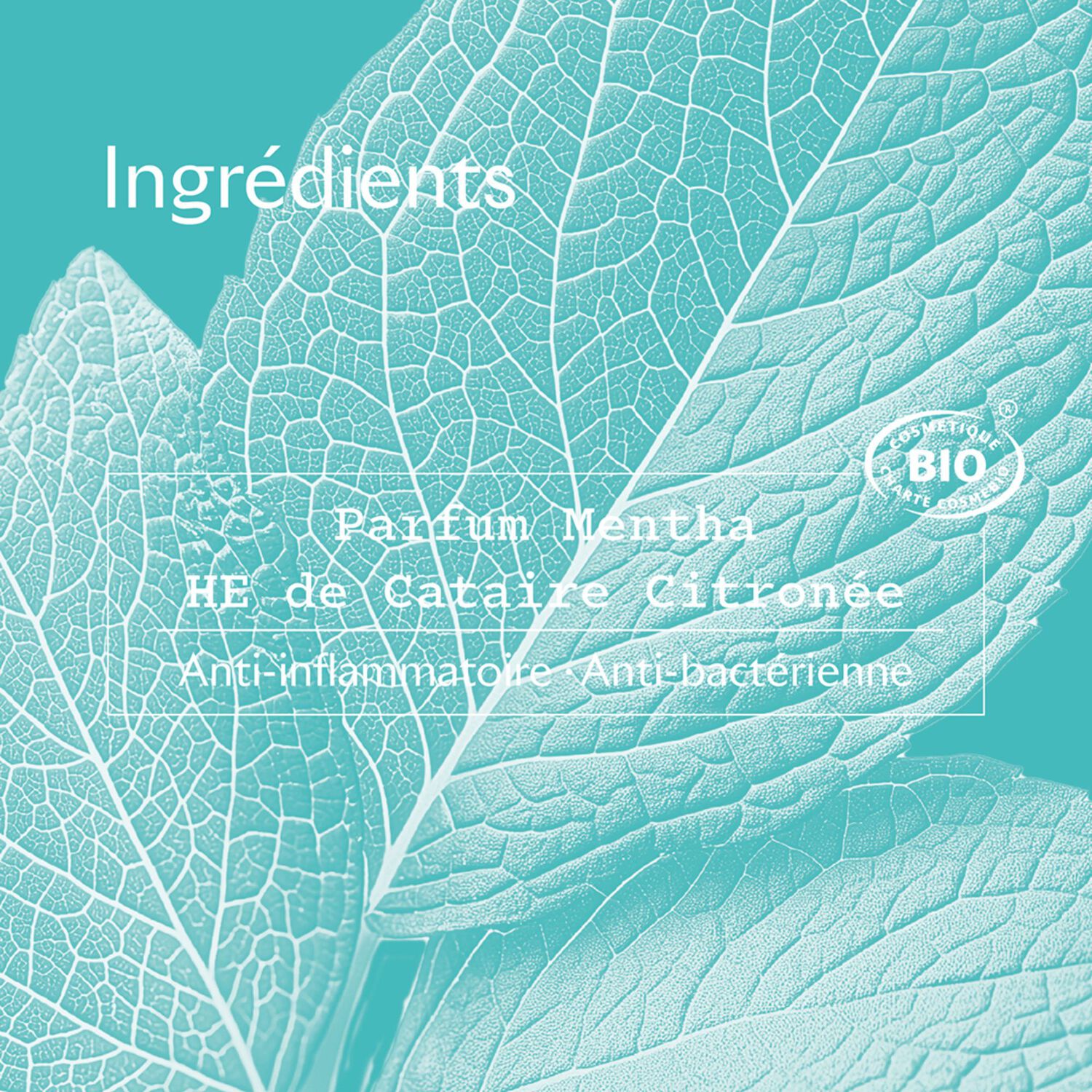 Mentha - Lot Déodorant Roll-On 48h 2 x 50 ml