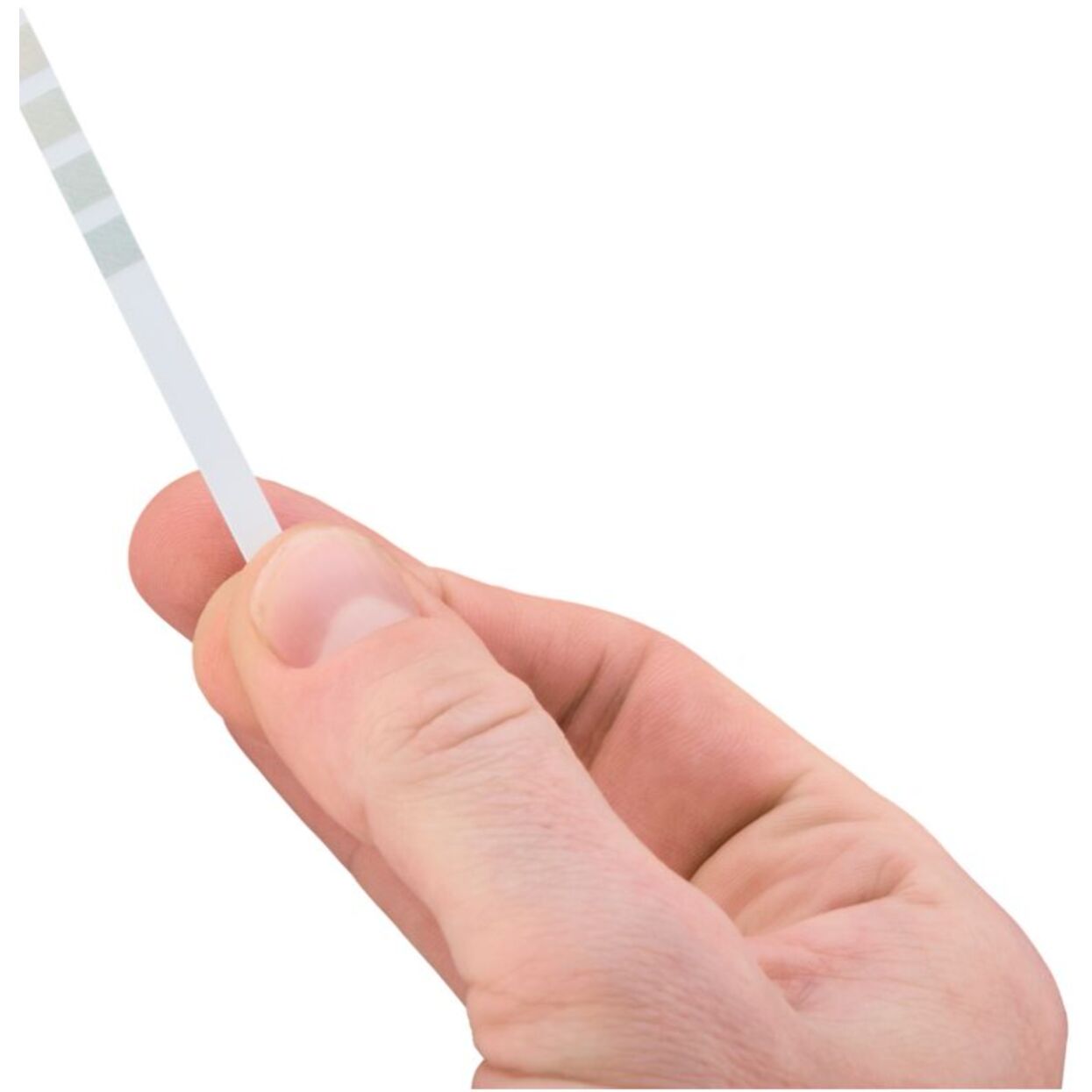 Détartrant KRUPS XW132000