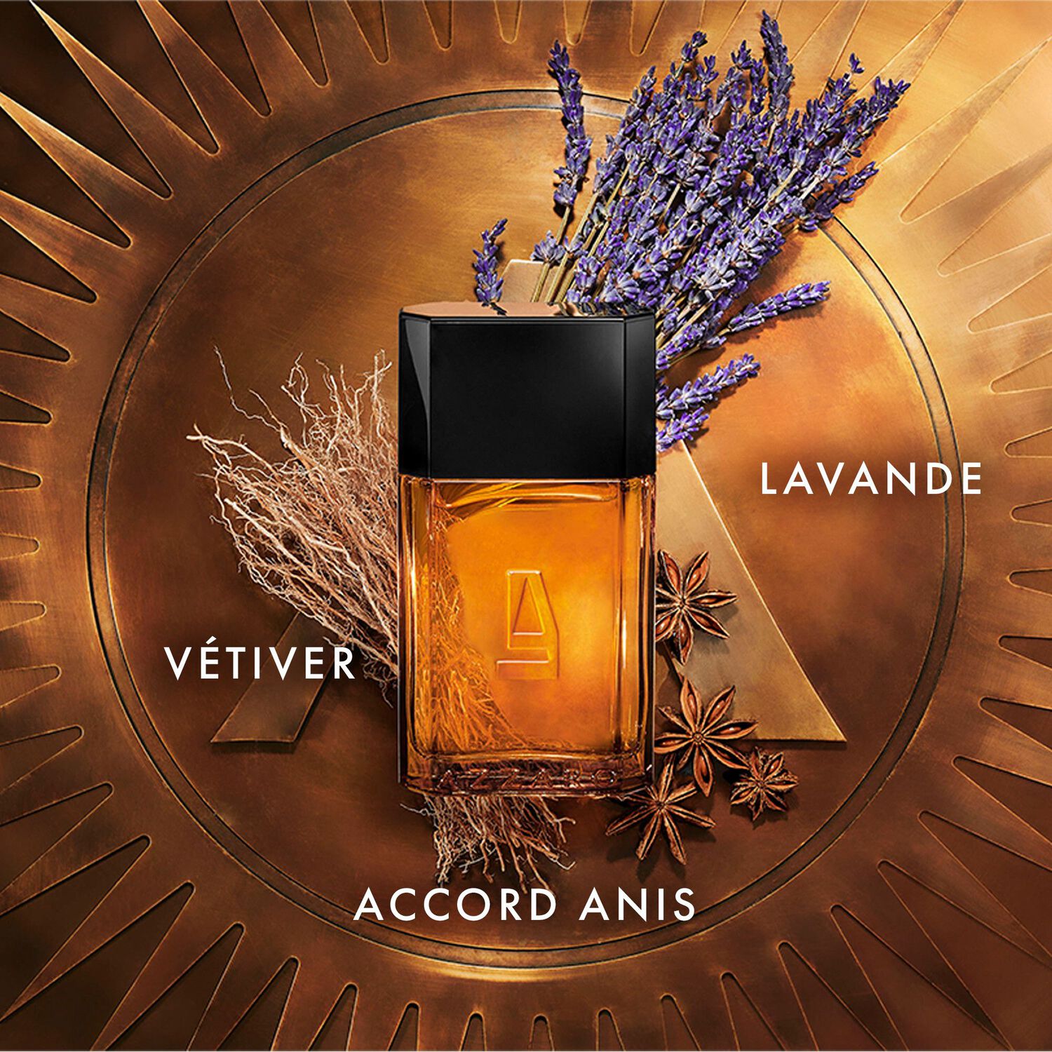 Azzaro pour homme - Eau de Toilette