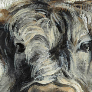 Affiche Vache highland aquarelle Affiche + cadre en bois - Noir