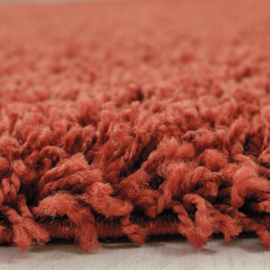 OTTAWA - Tapis shaggy uni Terracotta