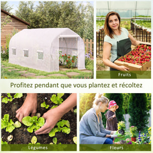Serre tunnel de jardin 8 m² - 2 portes, 6 fenêtres - métal galvanisé bâche PE blanc