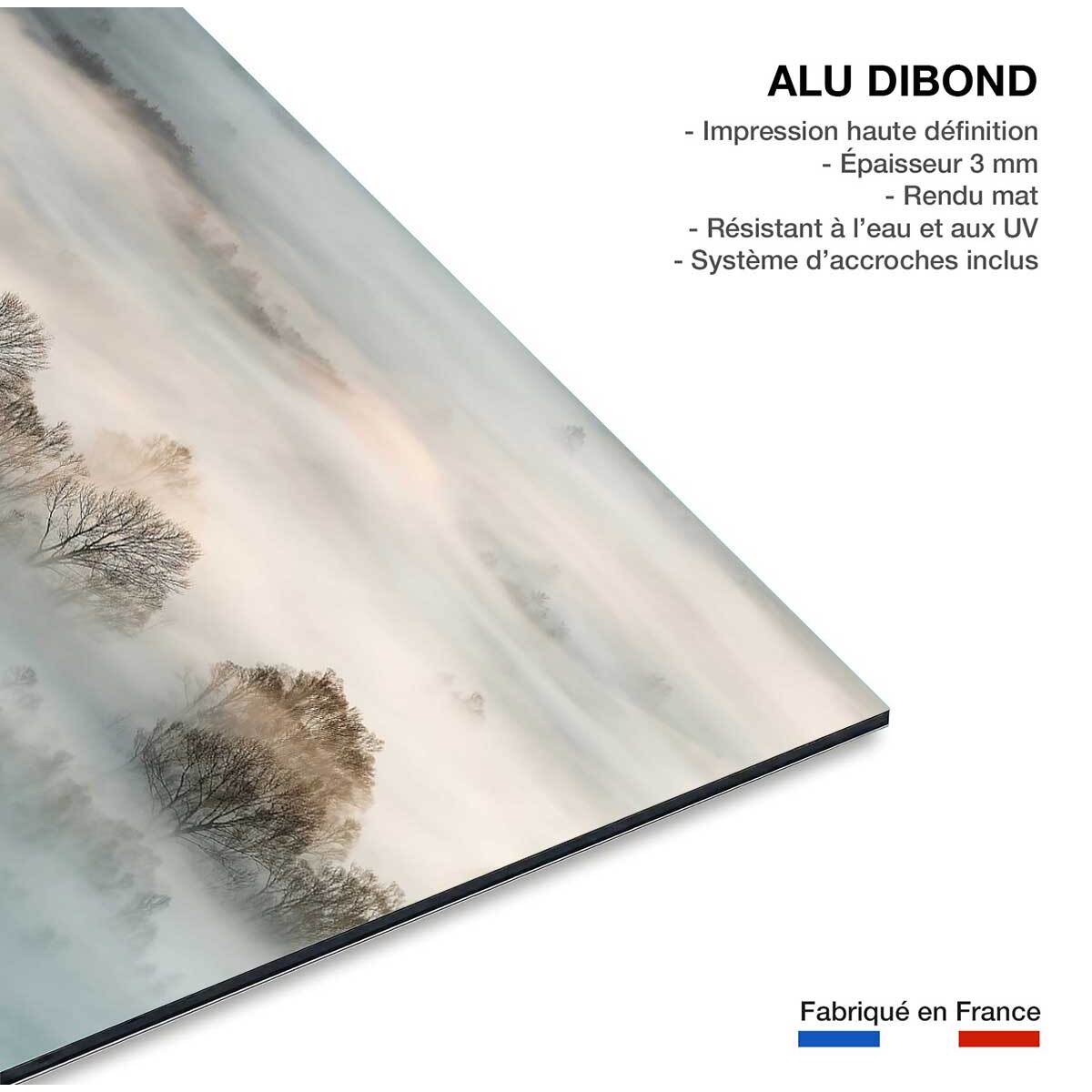 Tableau brouillard hivernal Tableau alu Dibond