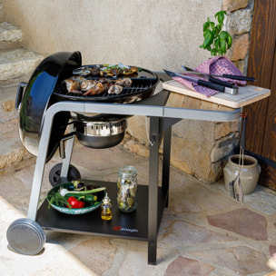 Barbecue à charbon boule Montana