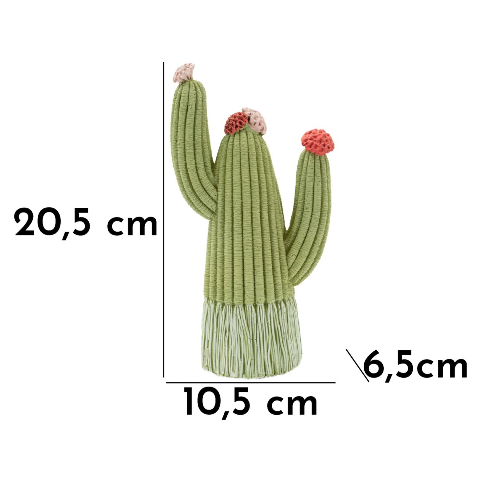 CACTUS CM 10,5X6,5X20,5