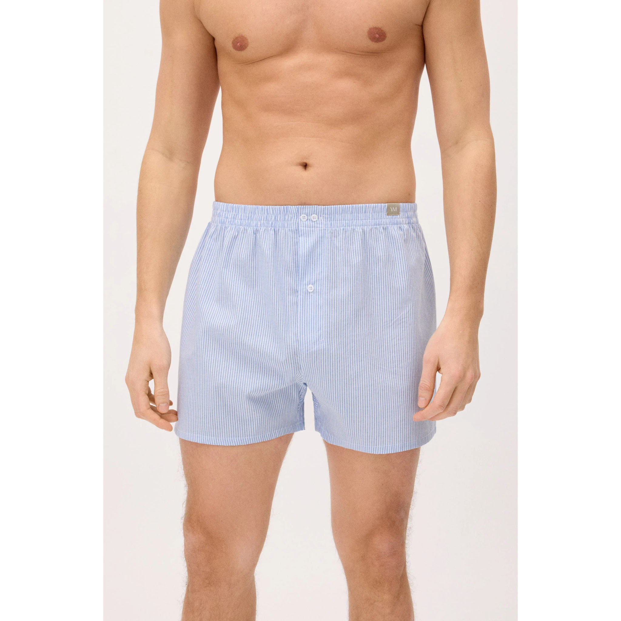 Boxer