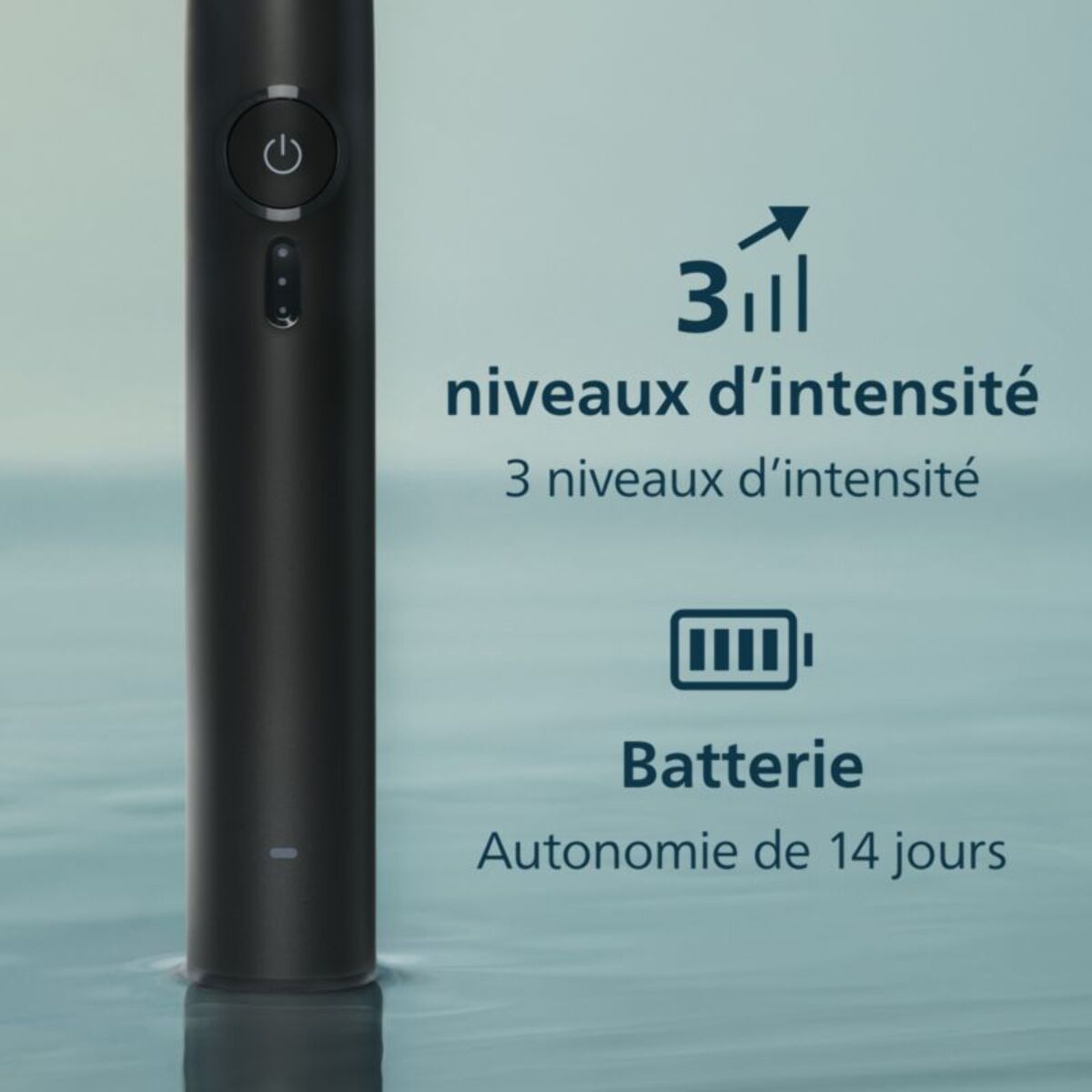 Brosse à dents électrique PHILIPS HX4033/32 Serie 3100 Noire