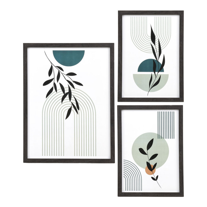 Set 3 cornici Aspen in MDF nero con stampe botaniche — 2 formati