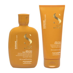 ALFAPARF MILANO Kit Semi Di Lino Sunshine Shampoo 250ml + Treatment 200ml