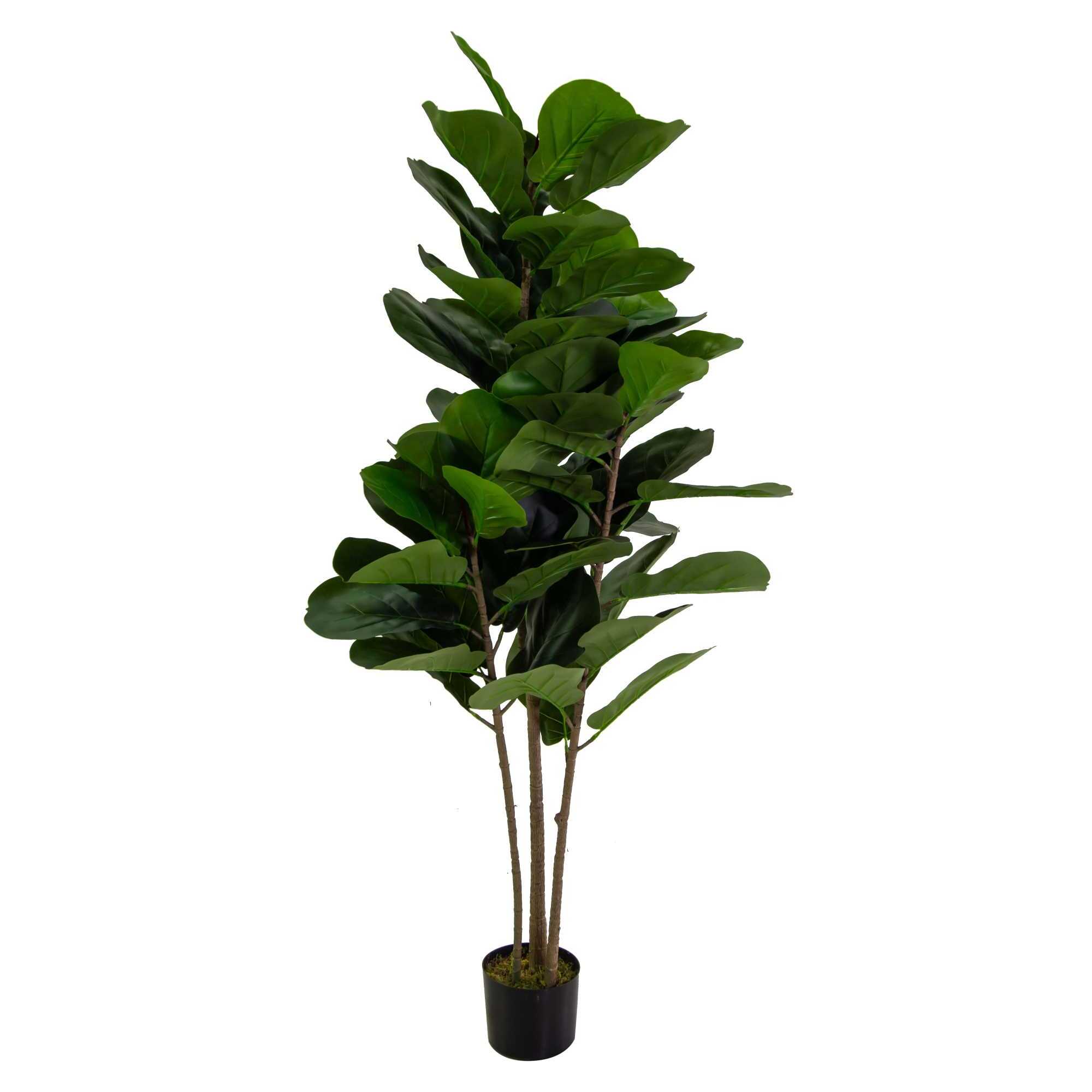 Pianta artificiale Ficus Vacchetti in plastica cmh150