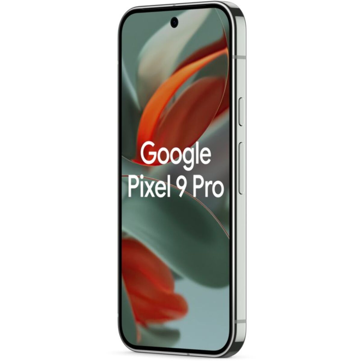 Smartphone GOOGLE Pixel 9 Pro Vert Sauge 512Go