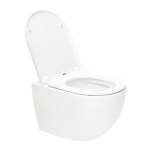Pack WC Bâti support Geberit + WC Swiss Aqua Technologies Tornado sans bride + abattant SoftClose + plaque (TORNADOGEB3)