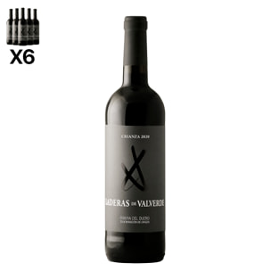 Caja de 6 botellas de vino Laderas de Valverde Crianza 2020. Ribera del Duero, crianza de 18 meses en barríl de roble. 75cl con 14,5% vol.