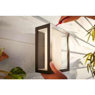Lampe connectée PHILIPS HUE W&C IMPRESS Grand Modèle Noir Ext