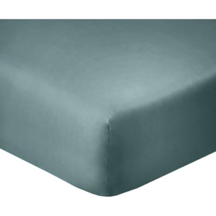 Drap housse coton bleu, canard
