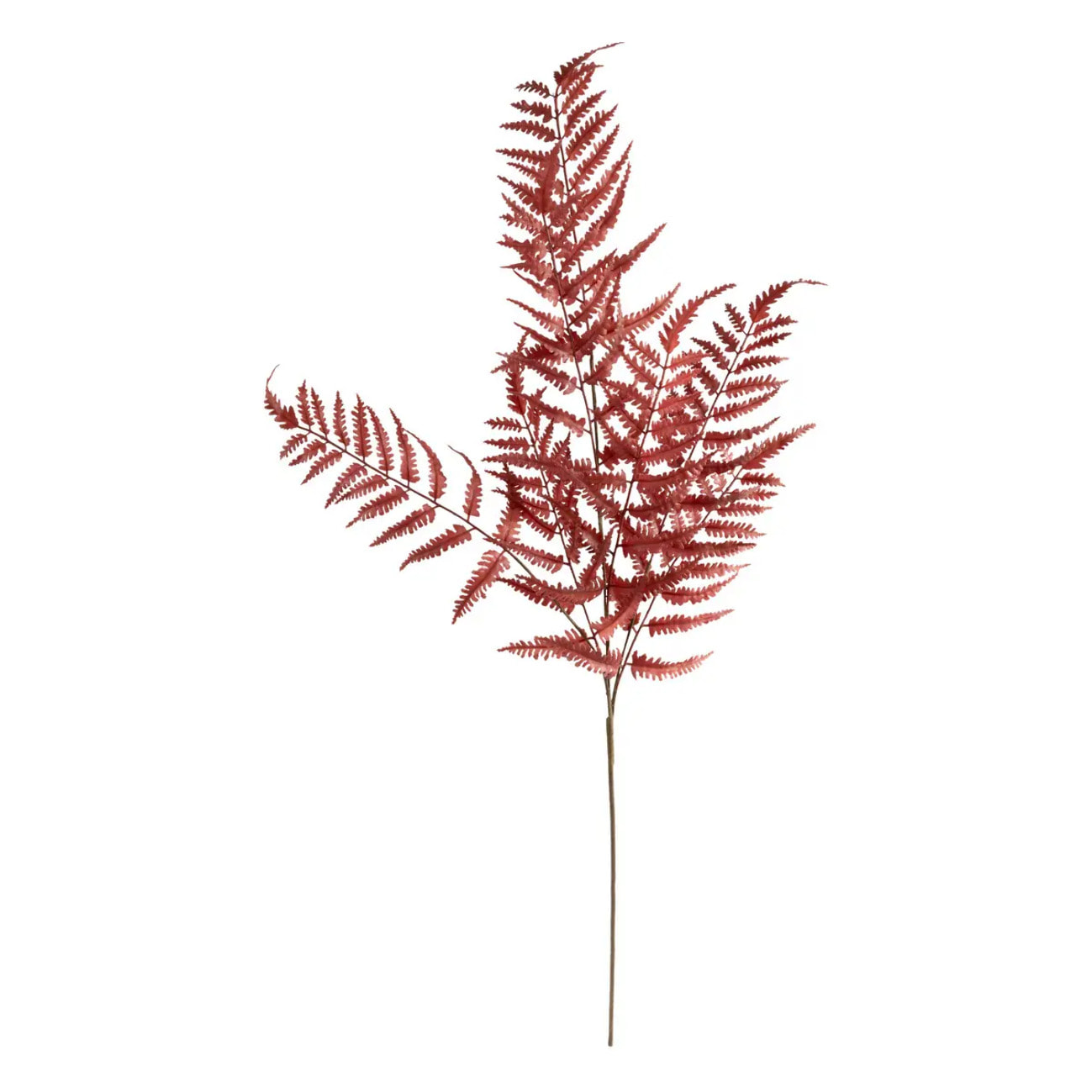 Tige d'eucalyptus artificielle James rouge rubis H92cm