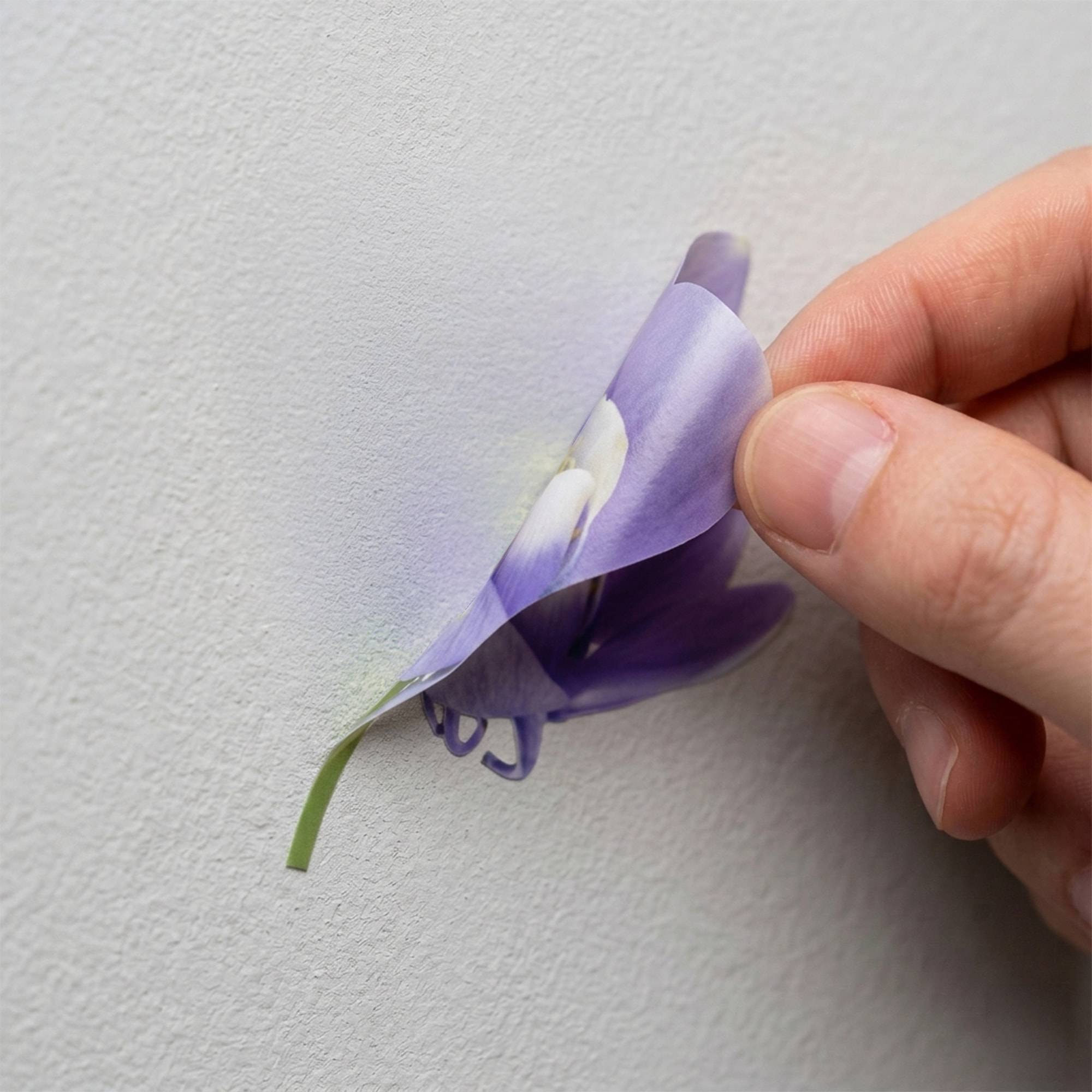 Stickers Muraux décoration adhésifs Fleurs Ancolies