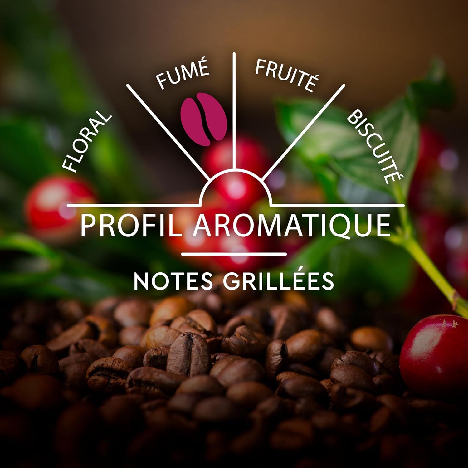 Espresso n°9 Intense x30 - Capsules compatibles Nespresso en aluminium