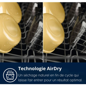 Lave vaisselle 60 cm ELECTROLUX ESS68600SX SatelliteClean