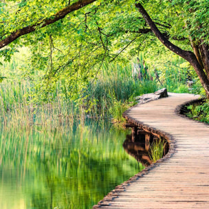 Affiche encadrée passerelle en forêt Affiche + cadre en métal - Noir