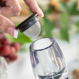 Aeratore per Vino con Filtro, Supporto e Custodia Wineir InnovaGoods