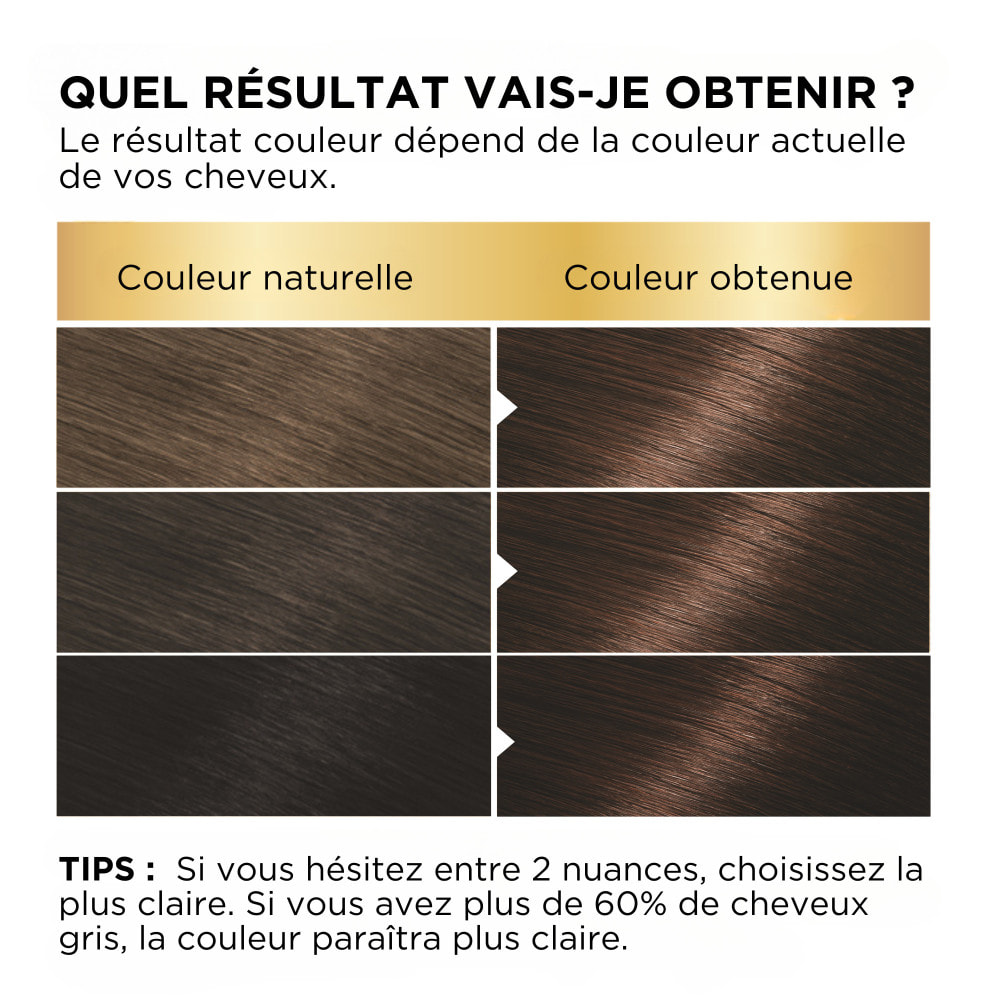 Lot de 6 - Garnier Belle Color Coloration 22 Chatain Naturel