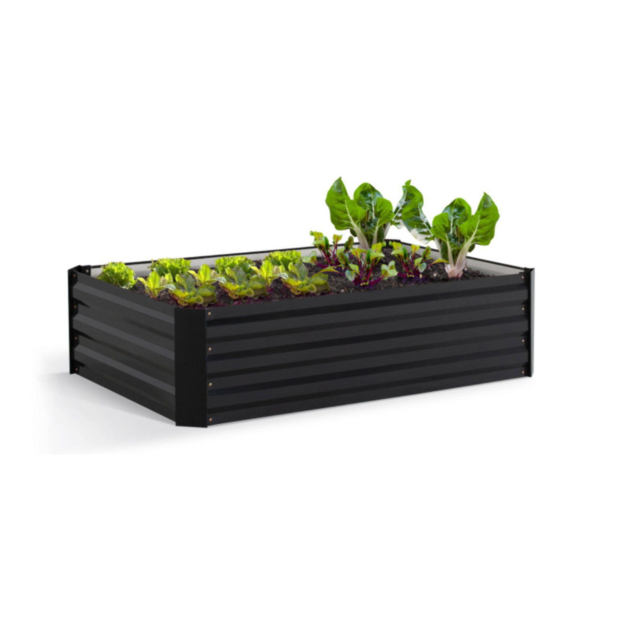 Carré potager en métal