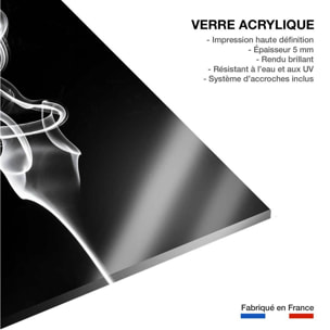 Tableau  white smoke tulip dream Tableau plexiglas