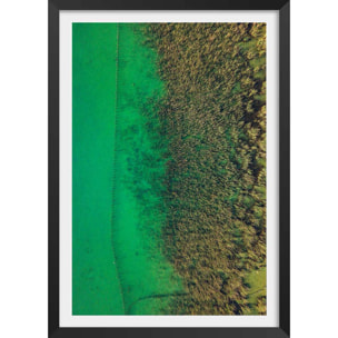 Affiche végétaux et flore aquatique Affiche + cadre en bois - Noir