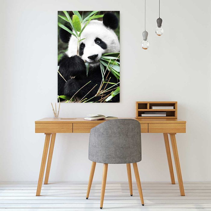 Tableau regard de panda Toile imprimée