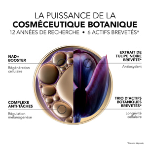 Premium  - Le Sérum Absolu Récupération Nocturne 30 ml